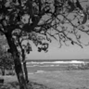 Meet your Posher, Caelin